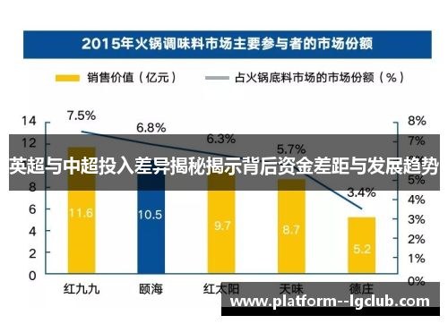 英超与中超投入差异揭秘揭示背后资金差距与发展趋势