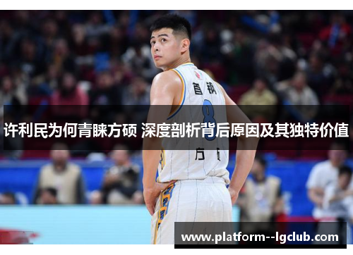 许利民为何青睐方硕 深度剖析背后原因及其独特价值 许利民为何青睐方硕 深度剖析背后原因及其独特价值