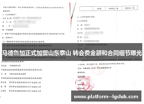 马德鲁加正式加盟山东泰山 转会费金额和合同细节曝光