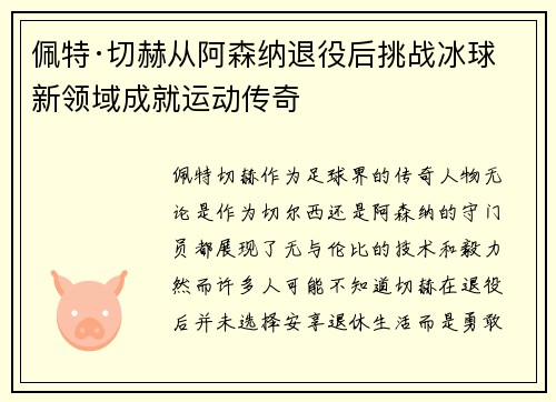 佩特·切赫从阿森纳退役后挑战冰球新领域成就运动传奇